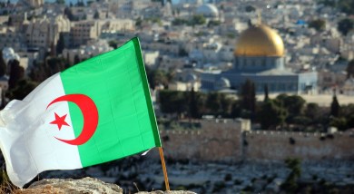 فلسطين الجزائر