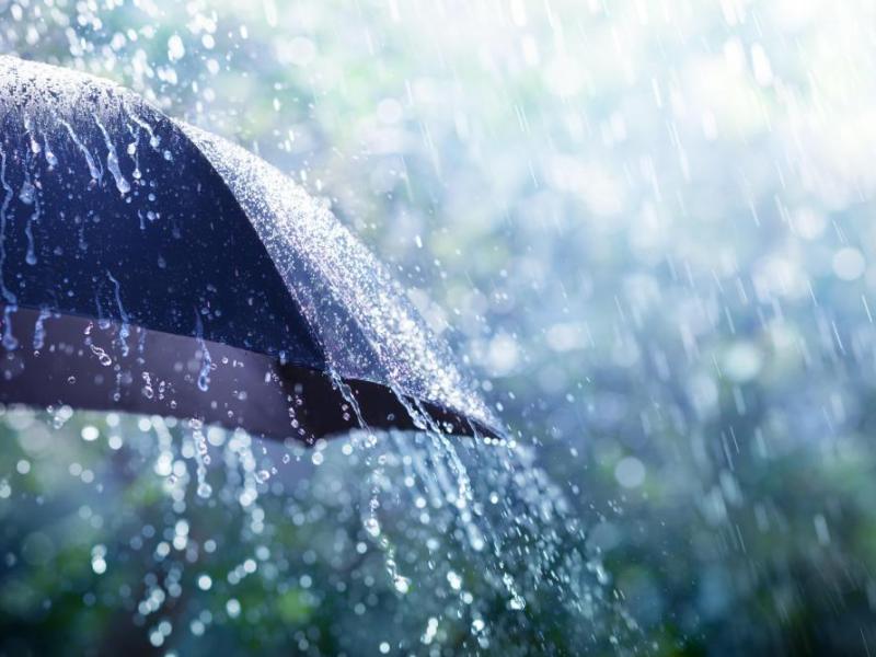 أمطار رعدية غزيرة على عدة ولايات