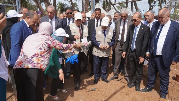 إطلاق الإستراتيجية الوطنية لتطوير زراعة وإنتاج الزعفران في الجزائر
